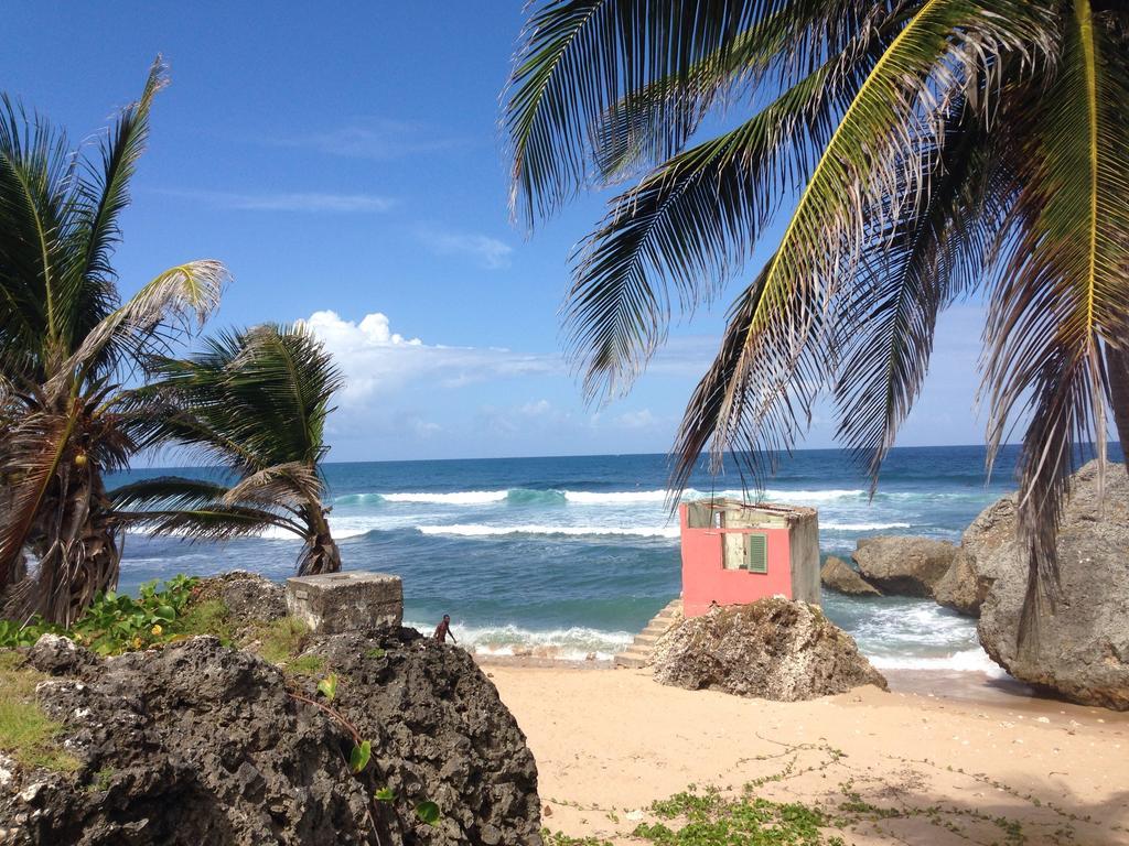 Eco Lifestyle And Lodge Bathsheba Esterno foto