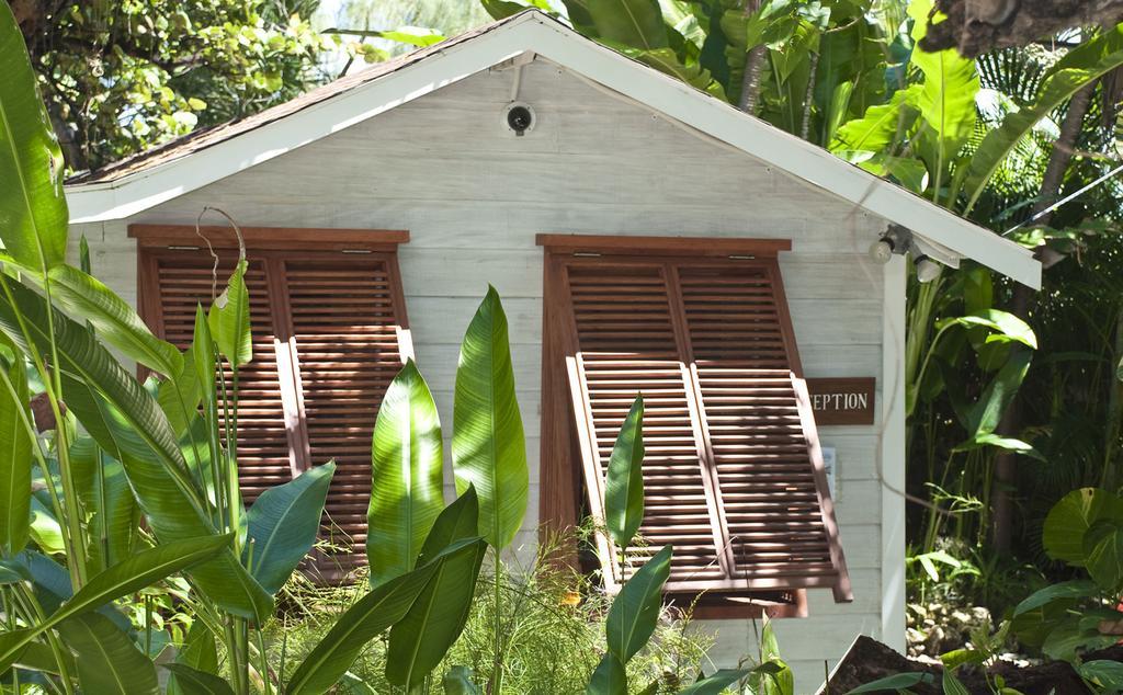 Eco Lifestyle And Lodge Bathsheba Esterno foto