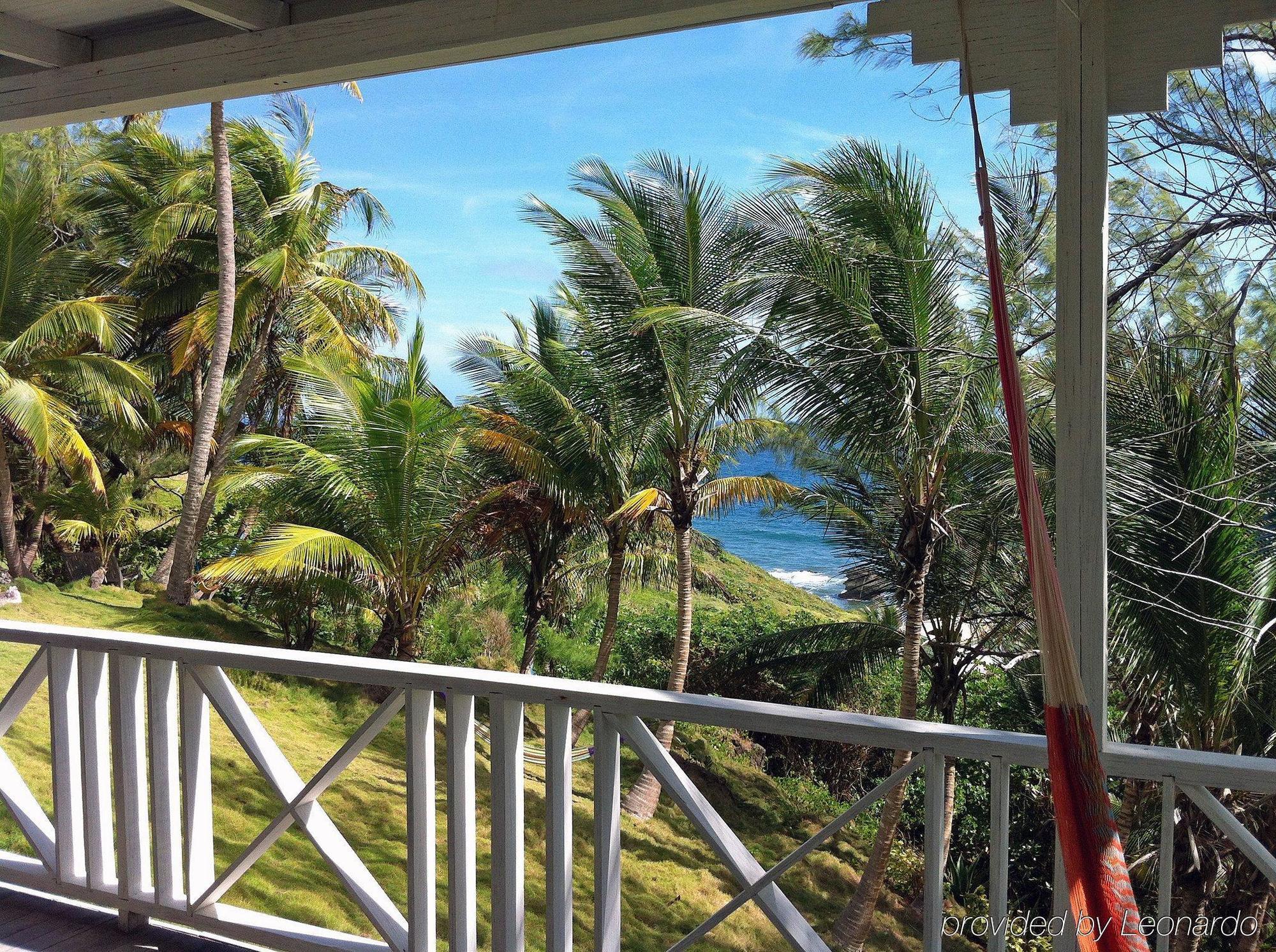 Eco Lifestyle And Lodge Bathsheba Esterno foto