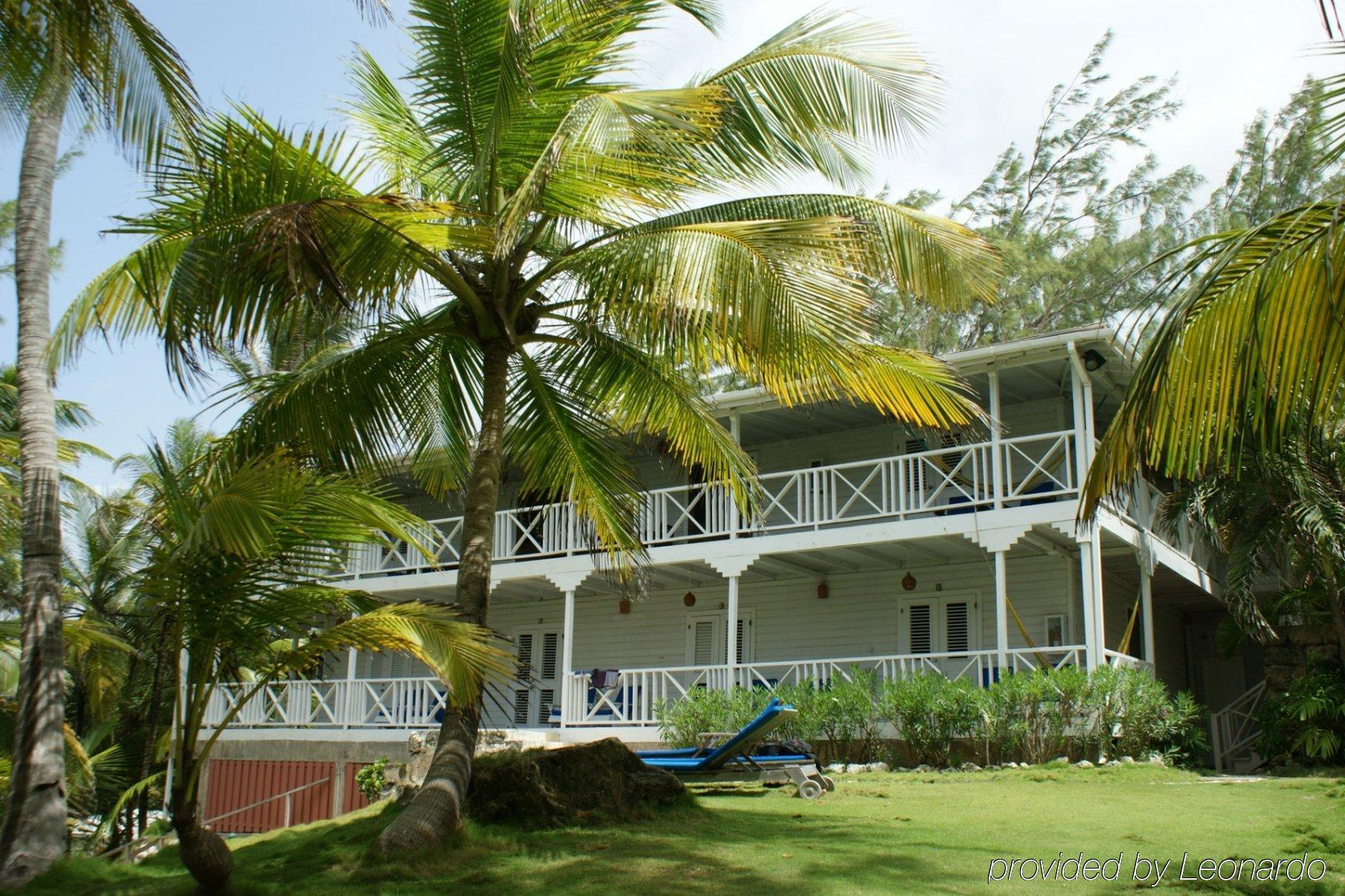 Eco Lifestyle And Lodge Bathsheba Esterno foto