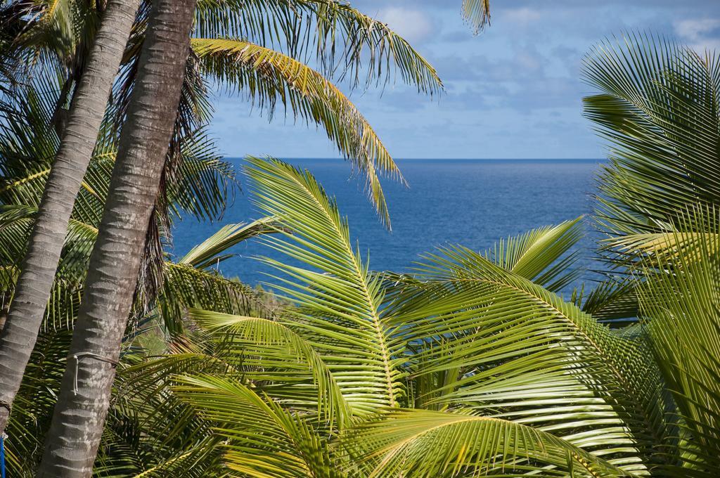 Eco Lifestyle And Lodge Bathsheba Esterno foto