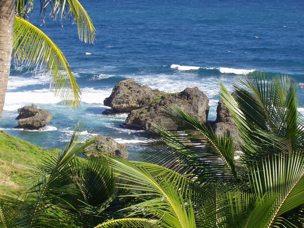 Eco Lifestyle And Lodge Bathsheba Esterno foto