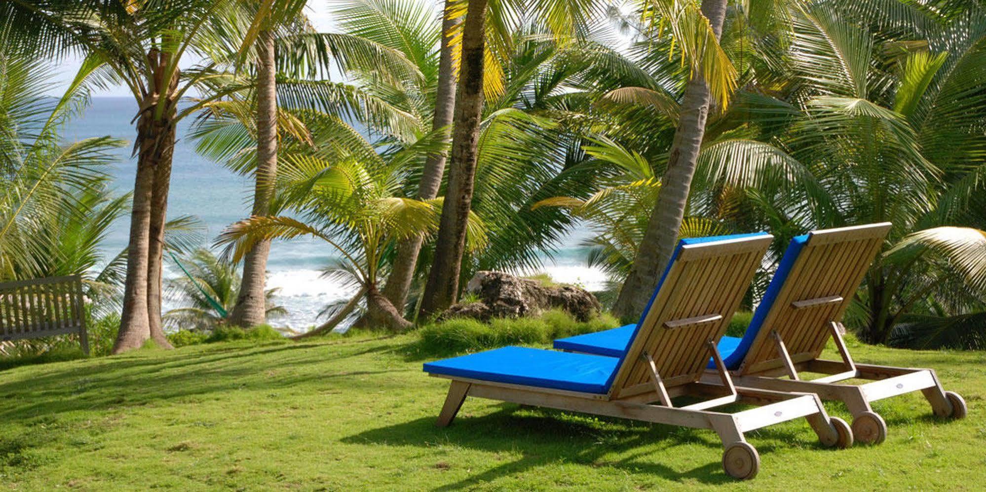 Eco Lifestyle And Lodge Bathsheba Esterno foto