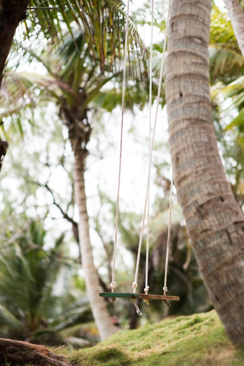 Eco Lifestyle And Lodge Bathsheba Esterno foto