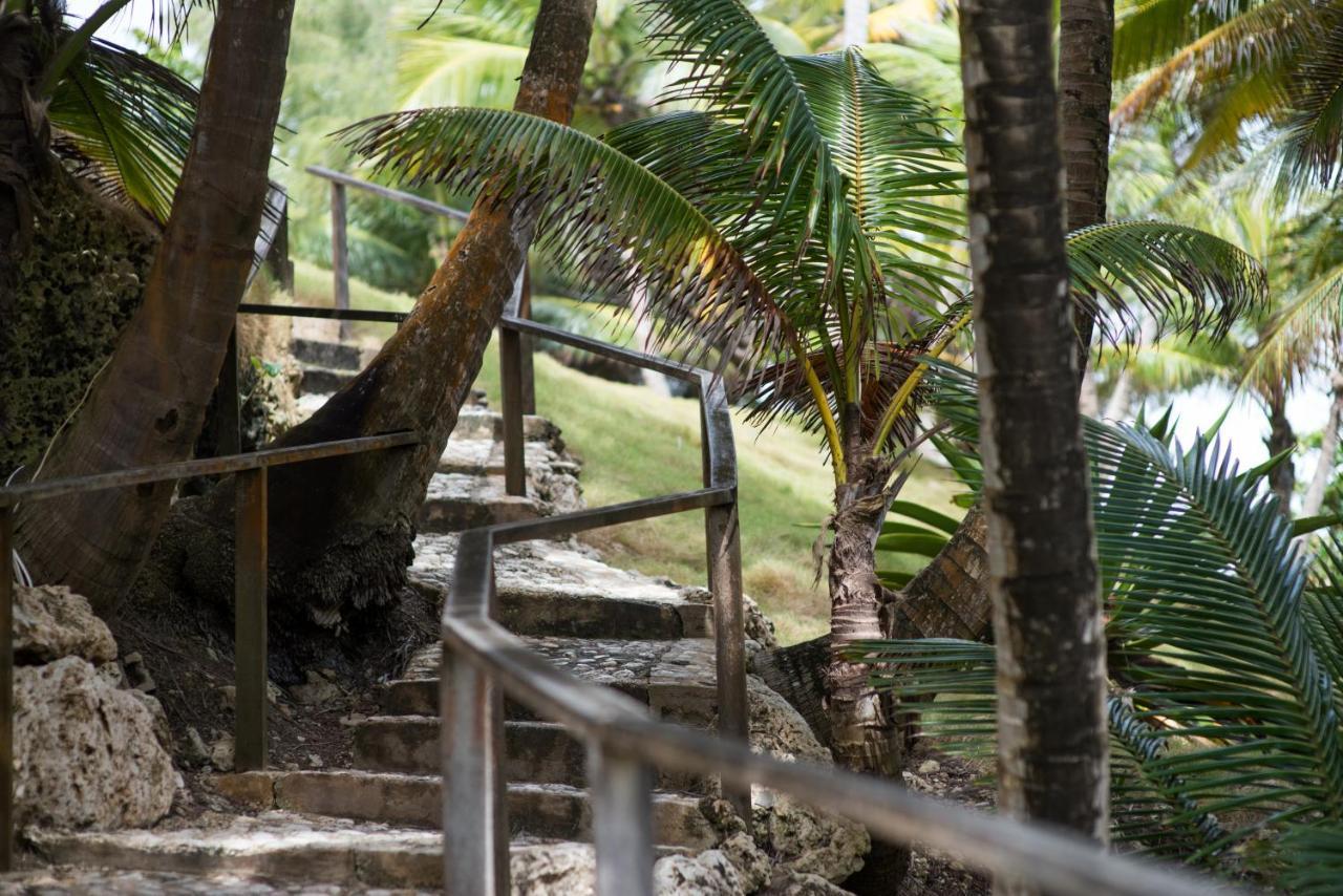 Eco Lifestyle And Lodge Bathsheba Esterno foto