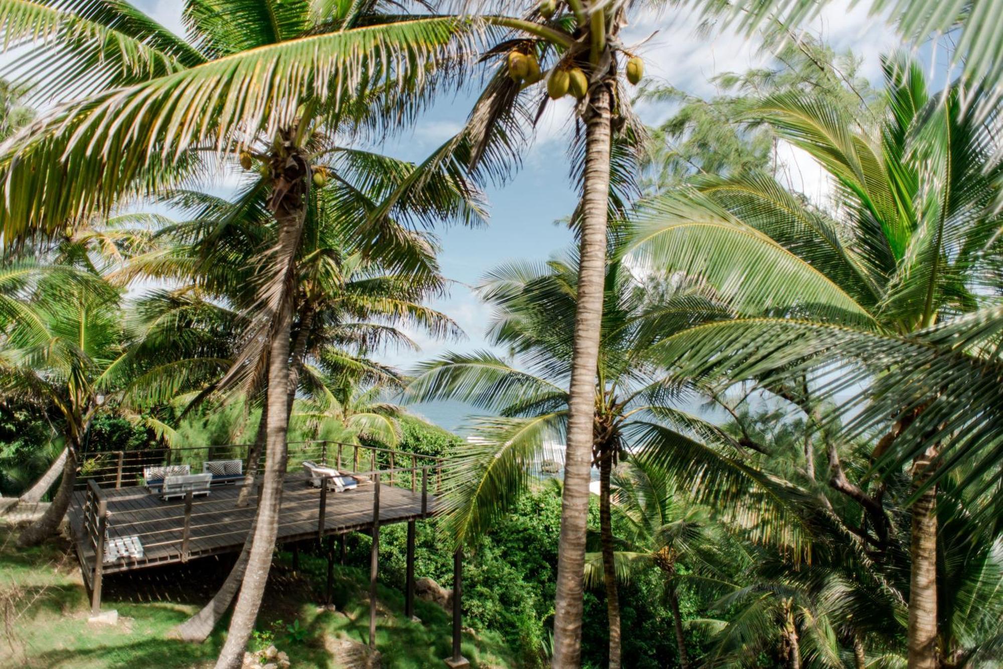 Eco Lifestyle And Lodge Bathsheba Esterno foto